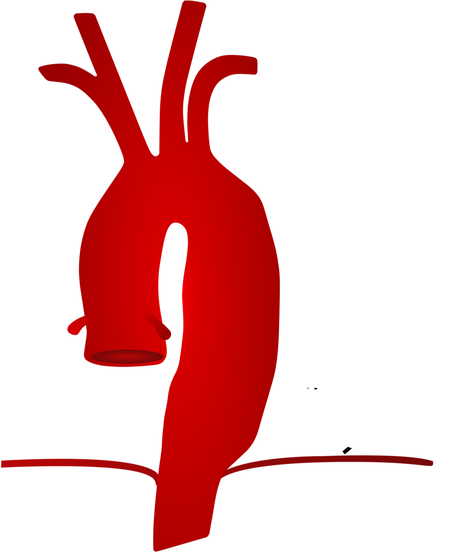 Chest Pain History - Chest Pain Transparent (1000x1135)