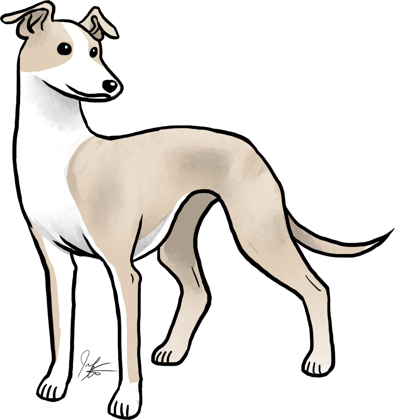 We Have A Very Special Pup This Month At Jen's Dogs - Dog (1280x1361)