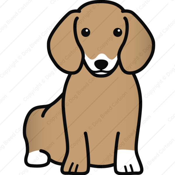 Edition Dog Breed Cartoon Download Your - Dachshund (600x600)