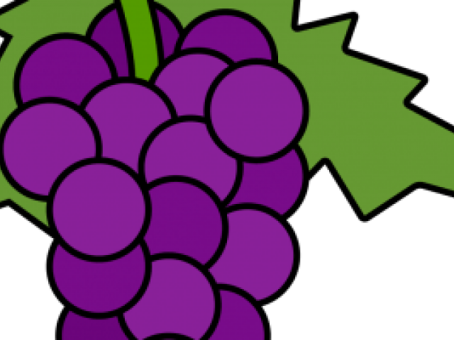 Grapes Clipart Ten - Grape Clipart Hd Png (640x480)