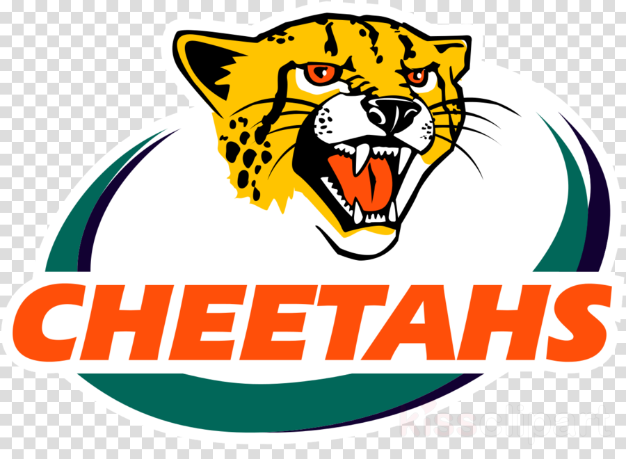 Super Rugby Cheetahs Clipart Free State Cheetahs South - Sharks Vs Cheetahs Rugby (900x660)