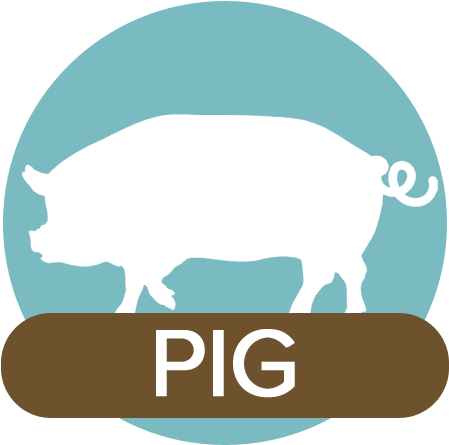 Pet Health Library - Meat (471x458)