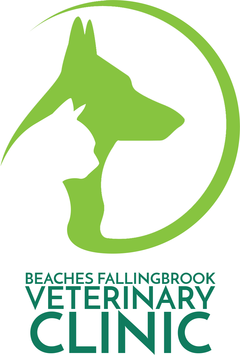 Book An Appointment - Beaches-fallingbrook Veterinary Clinic (833x1233)