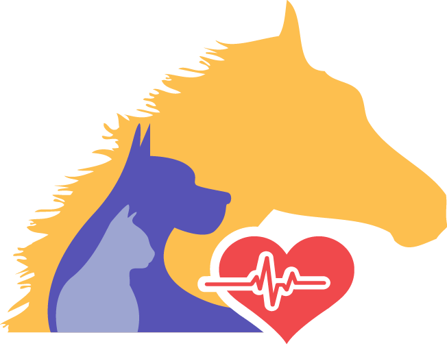 24 Hour Emergency Vet Open Public Holidays Contact - Baldivis Vet Hospital (652x527)