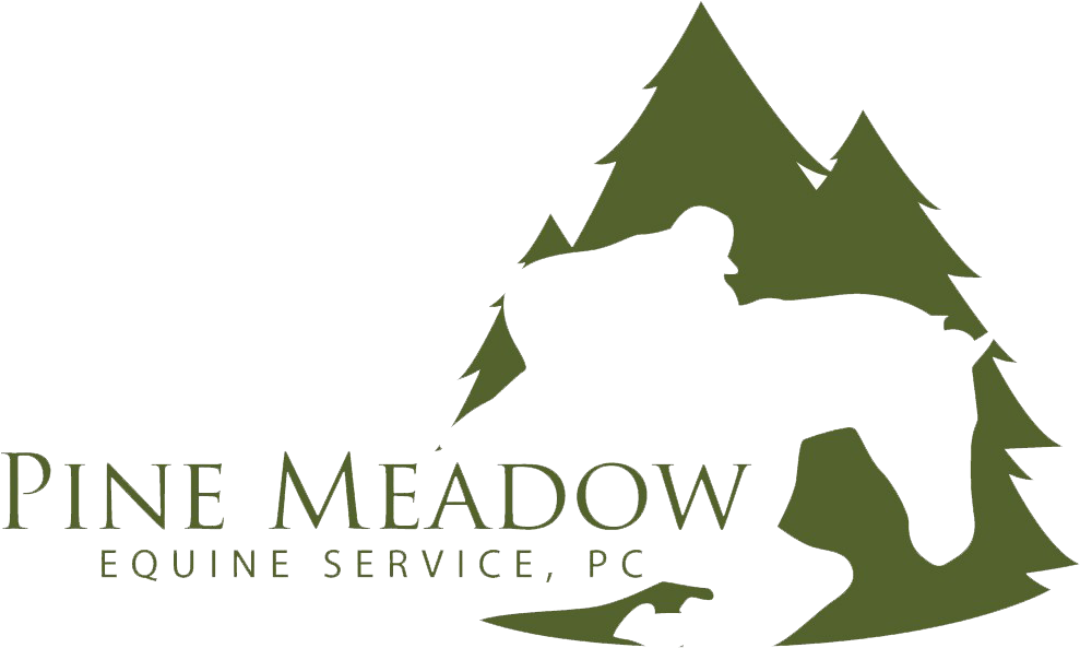 Equine Veterinarian Team In Yorktown, Va - Graphic Design (1000x620)