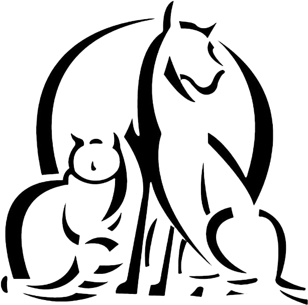 Eagle Pass Veterinary Diagnostic Hospital - Eagle Pass Veterinary Diagnostic (632x632)