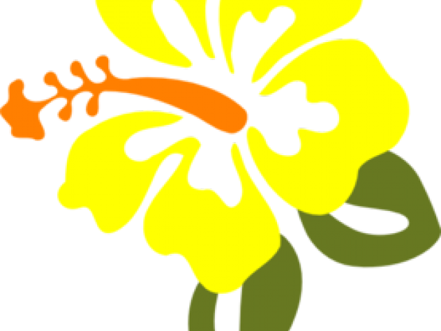 Yellow Flower Clipart Orange - Hibiscus Clip Art (640x480)