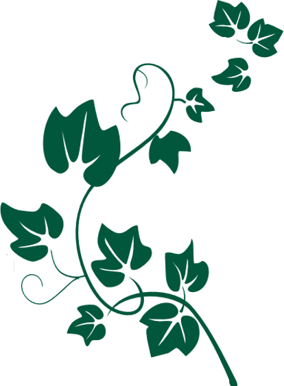 The District Houston Web Design Three - The District Houston Web Design Three (414x563)