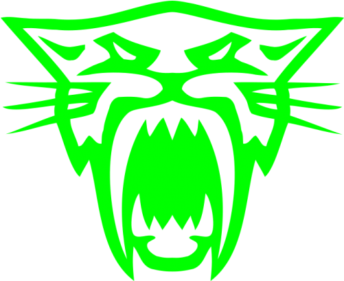 Arctic Cat Decal (500x500)