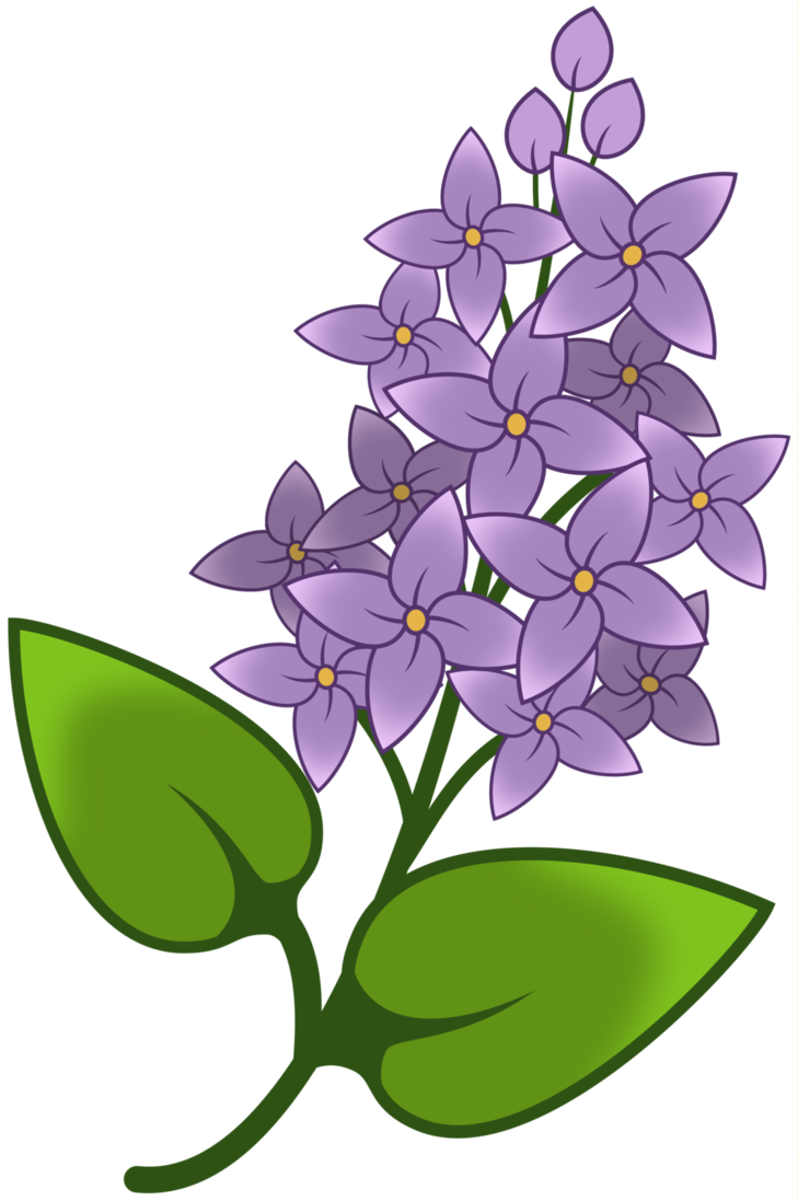 Image Du Blog Zezete2 - Purple Flower Cutie Mark (729x1097)