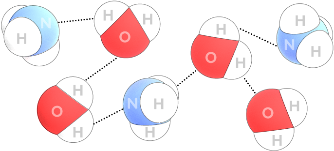 Ammonia Fountain Hydrogen Bonds - Ammonia Soluble In Water (800x350)