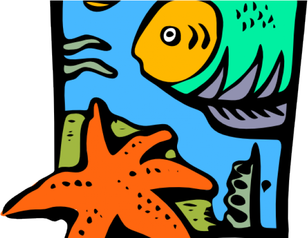 Sea Life Clip Art (640x480)