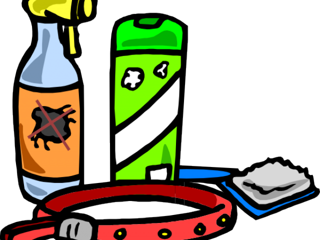 Store Clipart Pet Supply - Pet Grooming Tool Cartoon Png (640x480)