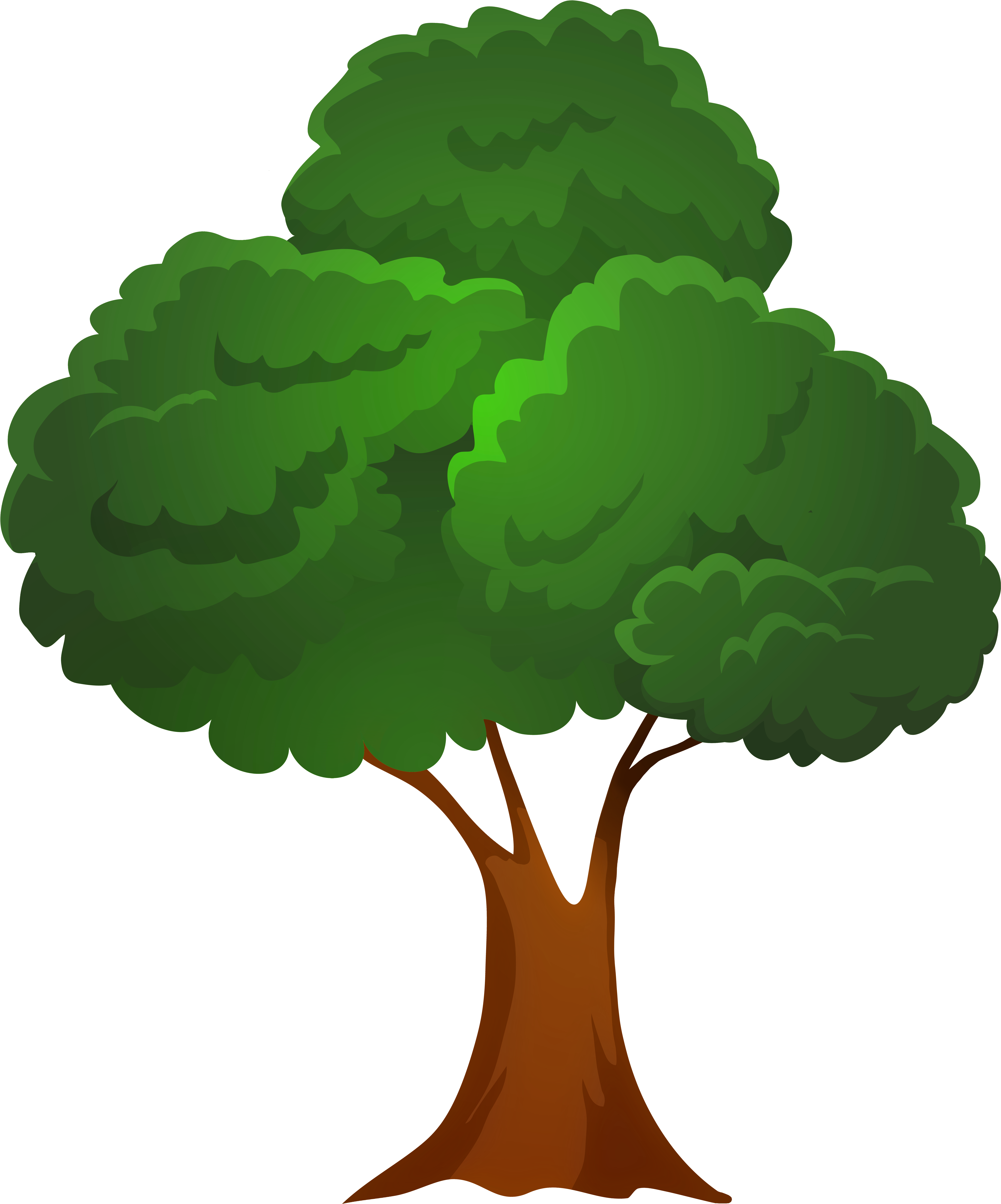 Classic Green Tree Png Clip Art - Classic Green Tree Png Clip Art (6660x8000)