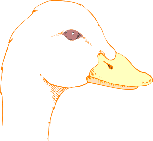 Beak Of Duck Drawing (600x553)