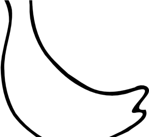 Drawn Duck Transparent - Line Art (640x480)
