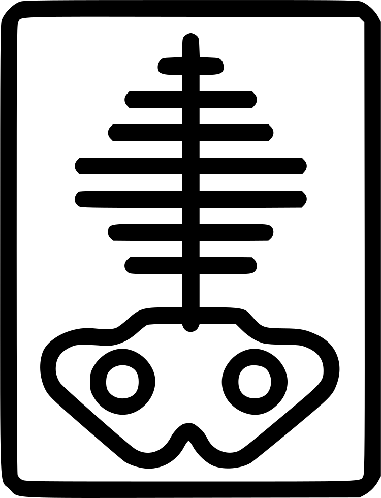 X Ray Comments - Medicine (750x980)