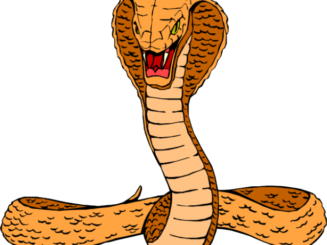 Bigfoot Cliparts Free Download Clip Art Carwad - Realistic Snake Clip Art (640x480)