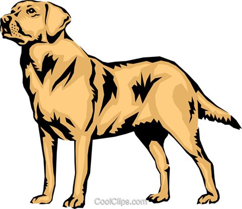 Clipart At Getdrawings Com - Labrador Retriever Vector Png (480x415)