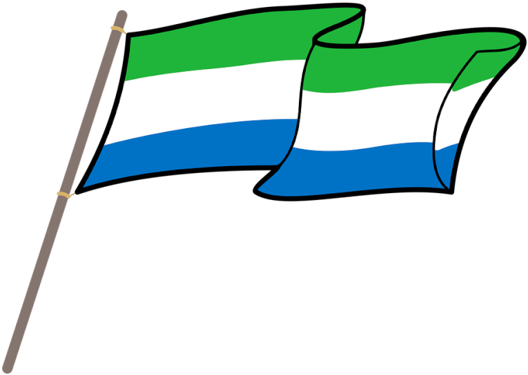 Sierra Leone's Dual Citizenship Upheaval Reignites - French Flag On Stick Clipart (800x566)