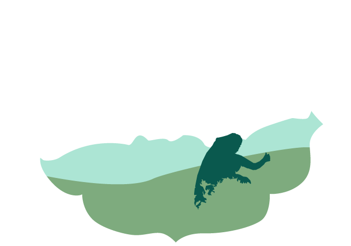 Tea Leaf Travels - Illustration (1273x484)