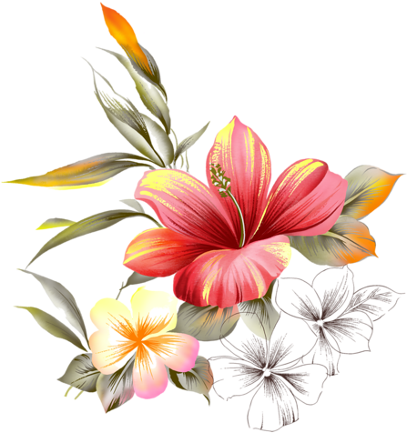 Ирча «94c27b87840f » На Яндекс - Transparent Hibiscus Watercolor Png (491x500)
