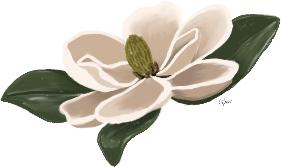 Flower Magnolia Floral Freetoedit - Flower (1024x1024)