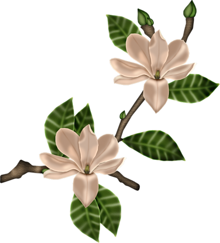 Fm Summerwind Element 58 - Leaves Vintage Png (452x500)