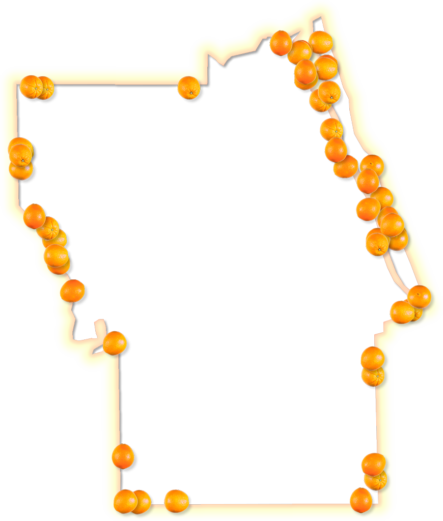 Free Download Orange Clipart Bead Necklace Body Jewellery - Illustration (870x1024)