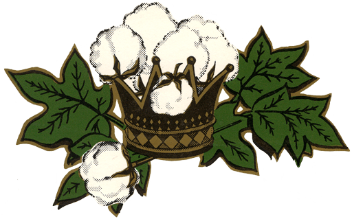 Memphis Cotton Wives Collection - Memphis (512x319)