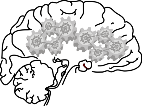 Human Brain Central Nervous System Neuron - Dopamine In Brain Clipart (454x340)