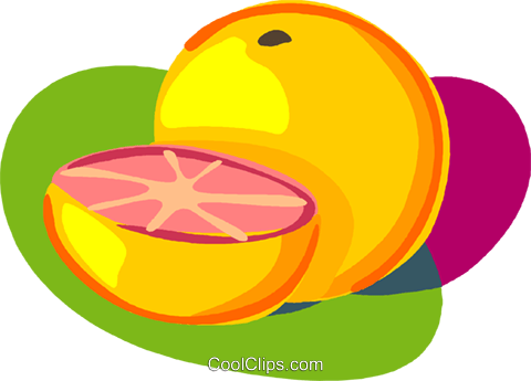 Sliced Grapefruit Royalty Free Vector Clip Art Illustration - Citrus ×paradisi (480x345)