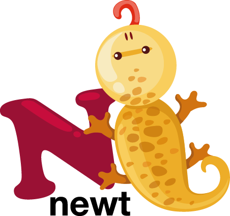 N For Newt Kids Sticker - Animal Alphabet Letter N (452x425)