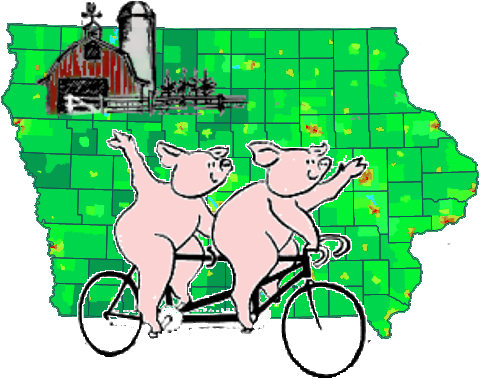 Pigs On Bicycles (517x400)