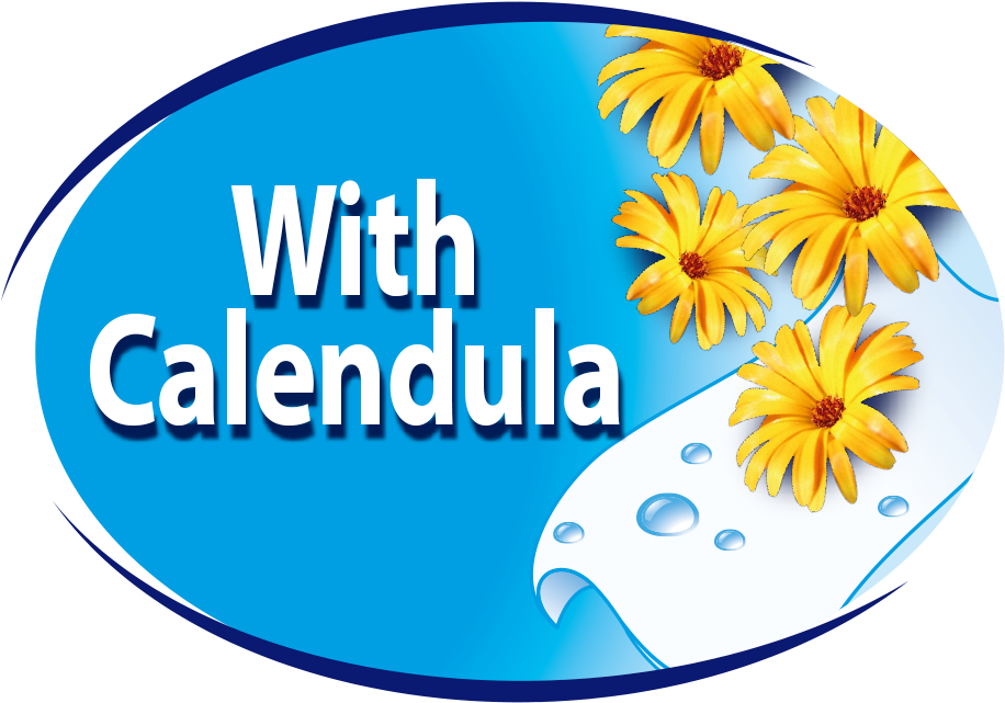 With Calendula - English Marigold (962x681)