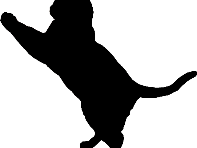 Tuxedo Cat Clipart Cat Silhouette - Cat (640x480)