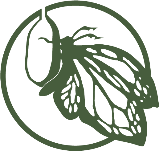 Camp Chrysalis - Camp Chrysalis (548x520)