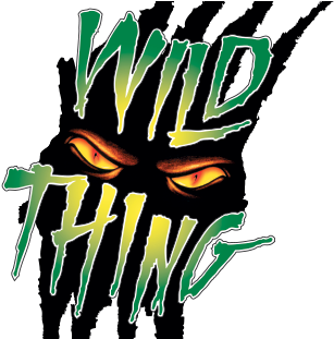 Valleyfair Carousel Wild Thing - Wild Thing Valleyfair Logo (410x310)