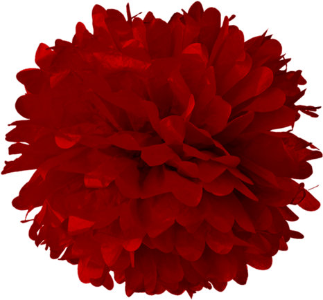 10 Tissue Pom Poms Lanterns And More - Turquoise Blue 10 Inch Tissue Paper Flower Pom-pom (480x466)