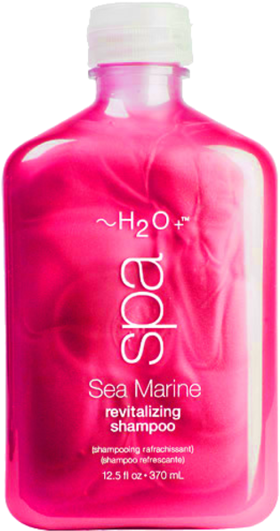 Clip Art Transparent Shampoo (422x600)