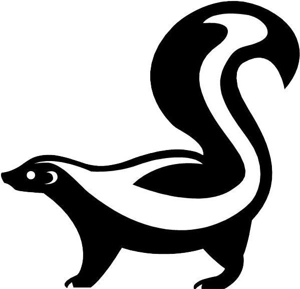 Skunk Drawing - Google Search - Skunk Works (619x600)