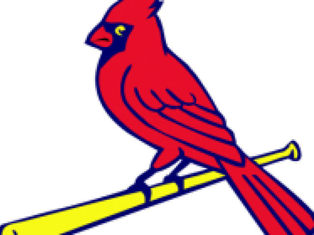 St Louis Cardinals Small (640x480)