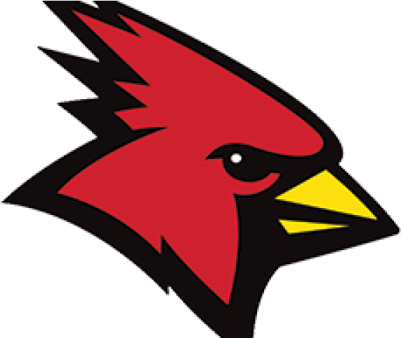 Cardinal Clipart Volleyball - Suny Plattsburgh Logo (640x480)