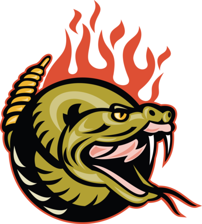 Gainesville Hawthorne Canebrakes Are A Metro Rules - Rattle Snake Head Retro Card (406x450)