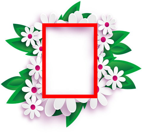 Molduras Para Fotos, Fundo Transparente - Facebook Profile Picture Frame Design (510x480)