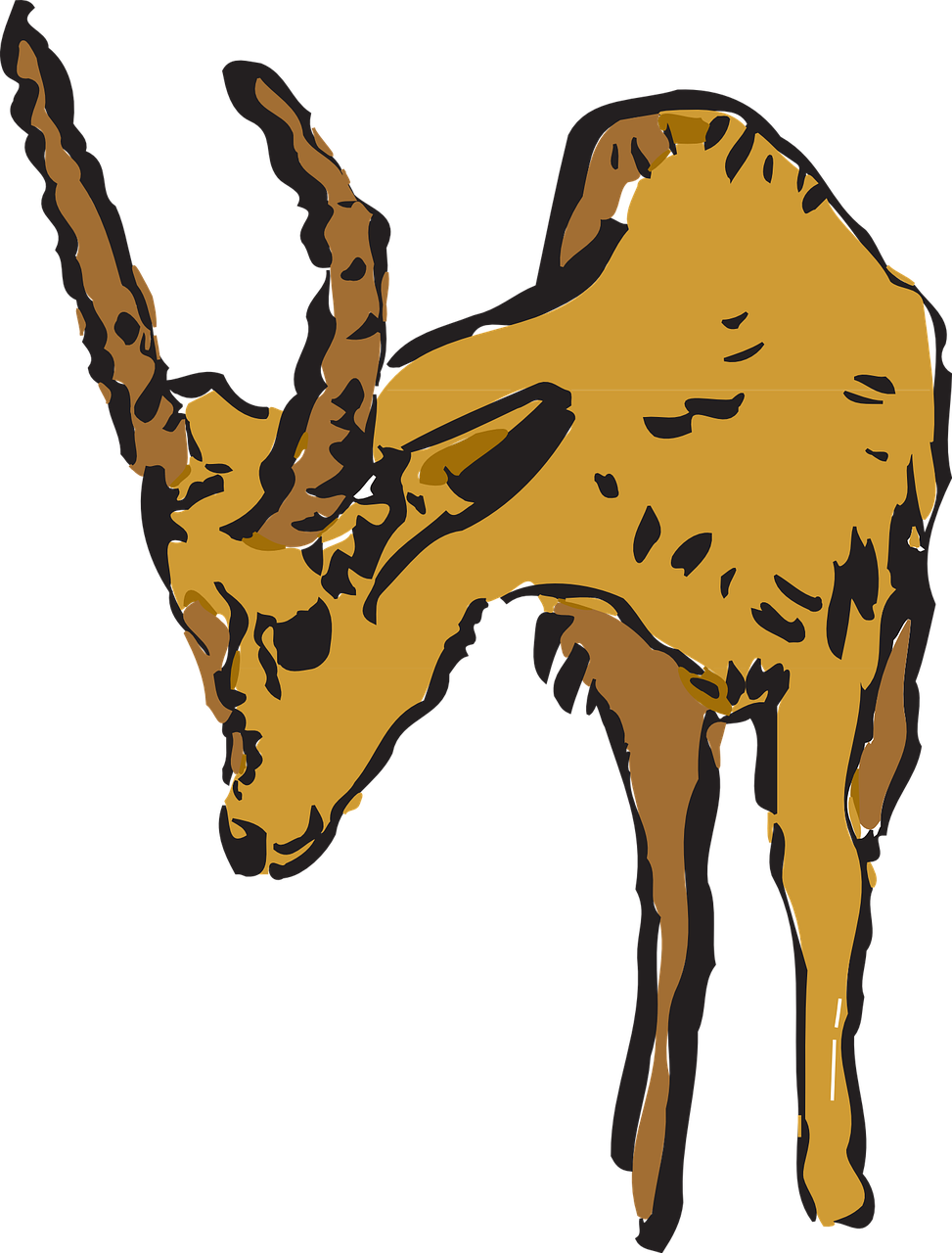 Vector - Antelope (973x1280)