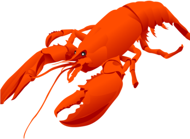 Lobster Clipart Crayfish - Lobster Vector Free (640x480)