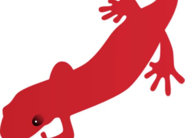 Gecko Clipart Salamander - Newt Clipart (640x480)