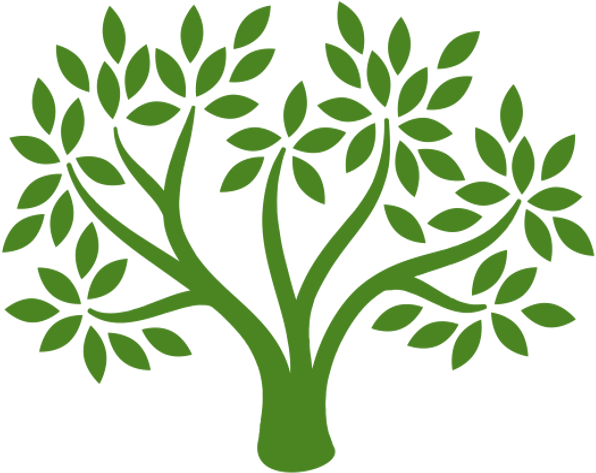 Explore Career Pathways - Concours Arbres D Avenir (639x571)