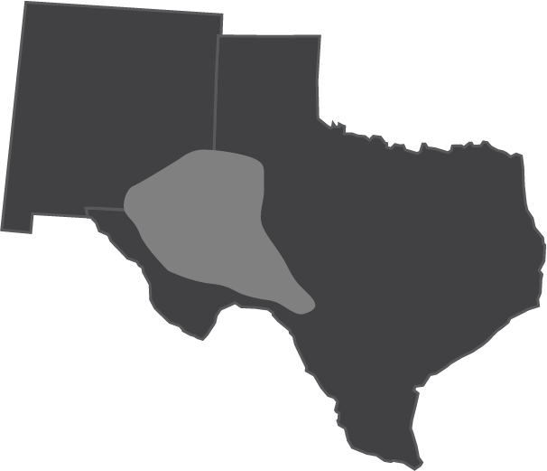 Permian Basin - Texas (606x521)